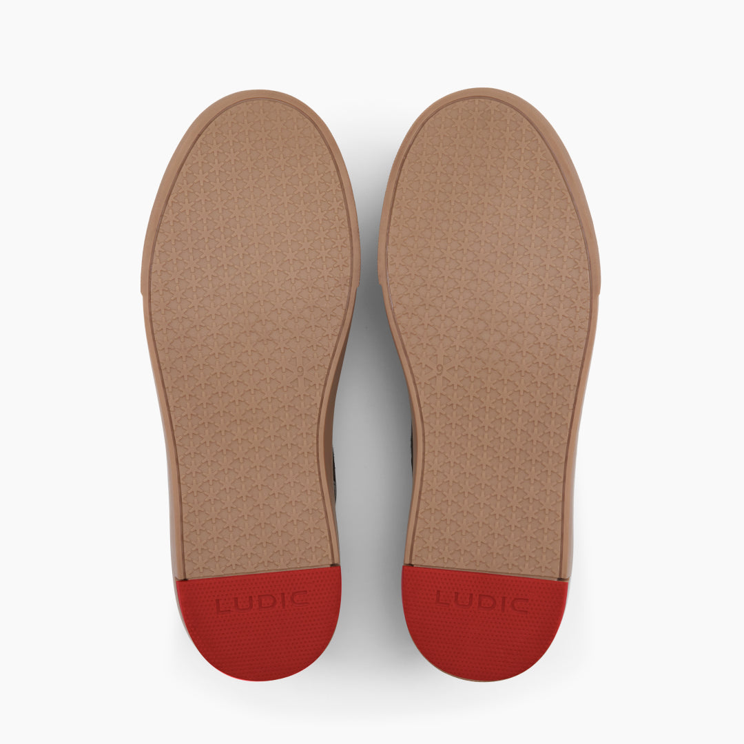Enhanced Canvas Pro