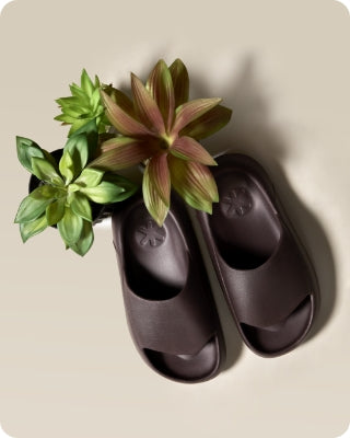 Brown Sliders by Ludic