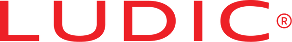 Ludic logo